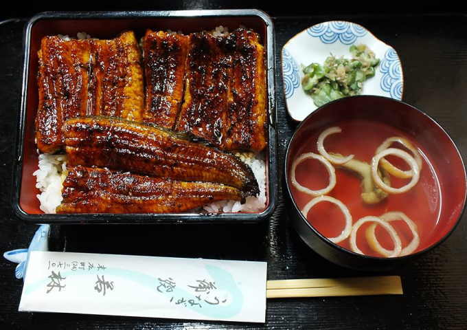 庄内浜地魚料理 うなぎ若林 食べる 鶴まっぷ